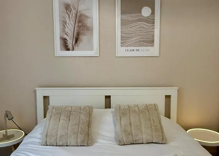 Le Clair De Lune Elegant T3 With Private Parking * Maubeuge